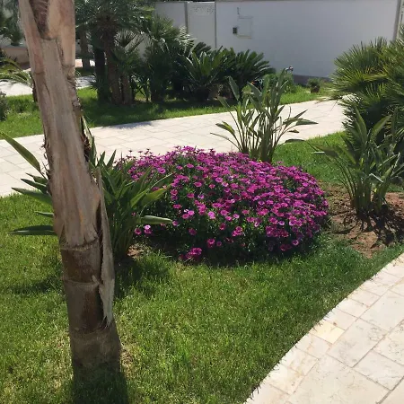 Silvana Apartment
